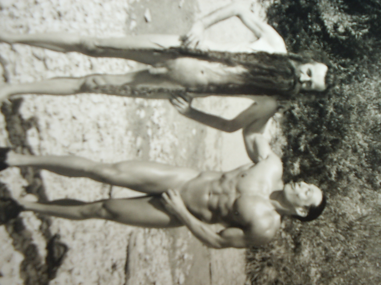 Bild 92 von 94  -  342 kB